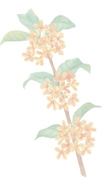 金木犀イラスト