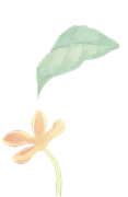 金木犀イラスト