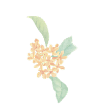 金木犀イラスト